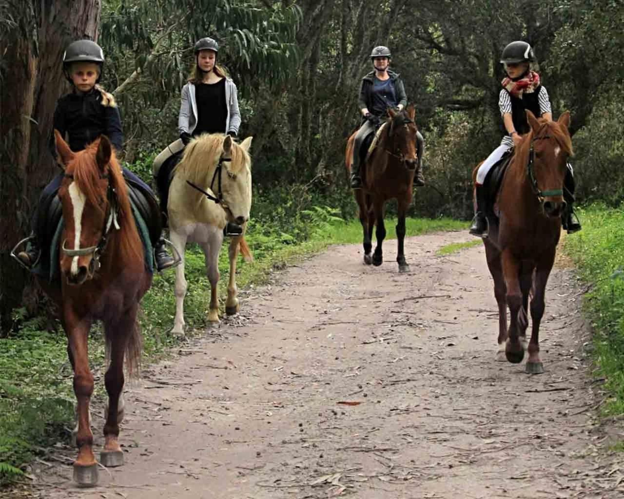 Quinta Pedagogica Da Samoqueirinha - Duna Parque Resorts & Hotels Вила Нова де Милфонтеш Екстериор снимка